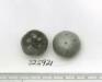 Click for 1 image(s) for this accession. FRUIT